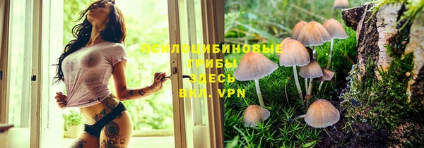 спайс Алексин