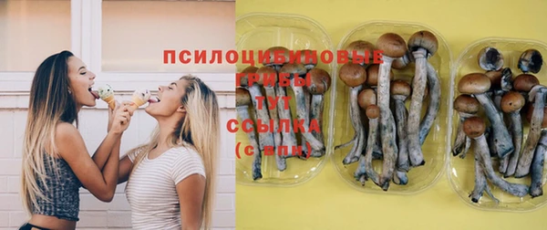 гидропоника Алексеевка