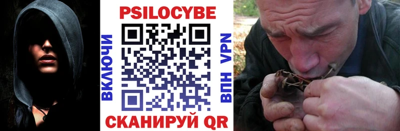 наркотики  Нижний Тагил  Галлюциногенные грибы Psilocybine cubensis 