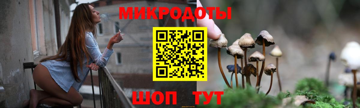 Псилоцибиновые грибы Cubensis  Вход с VPN  Нижний Тагил 